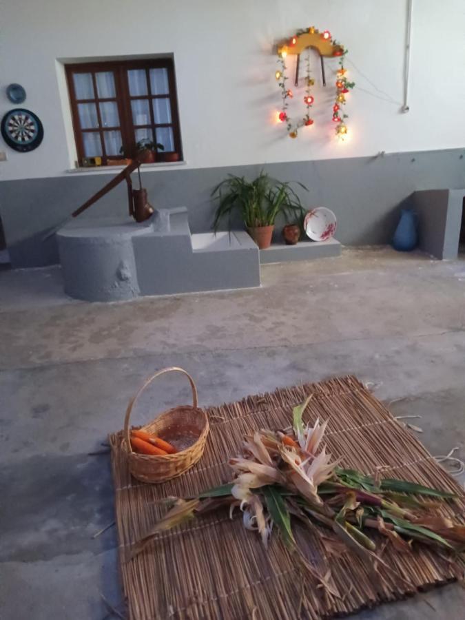 Casa Da Vovo Ceu - Casa De Campo Gandaresa - Country House, Entre Coimbra E Aveiro, A 15 Minutos Carro Praia Mira - Quintal Com Piscina Insuflavel 坎塔涅迪 外观 照片