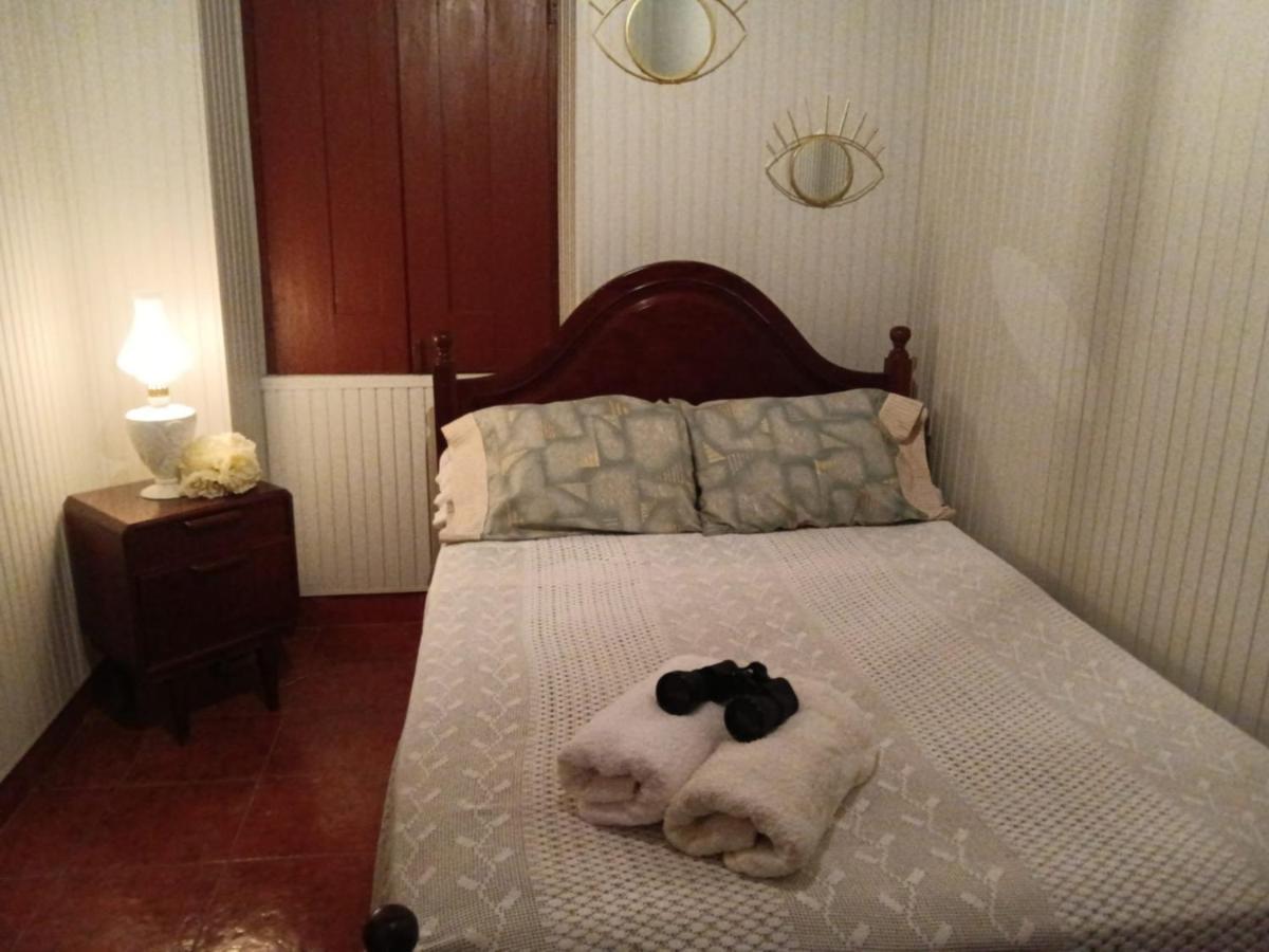 Casa Da Vovo Ceu - Casa De Campo Gandaresa - Country House, Entre Coimbra E Aveiro, A 15 Minutos Carro Praia Mira - Quintal Com Piscina Insuflavel 坎塔涅迪 外观 照片